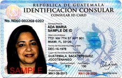 Issuance of Consular Identification Cards (TICG)