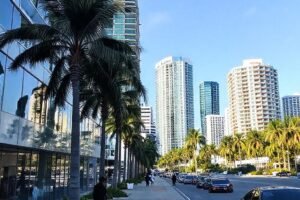 Miami employment agencies: how to find the ideal job