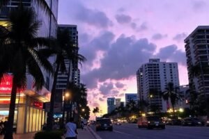 Working in Miami without Papers: Opportunities and Challenges